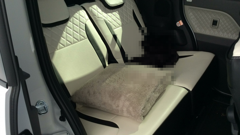 内装後方シート