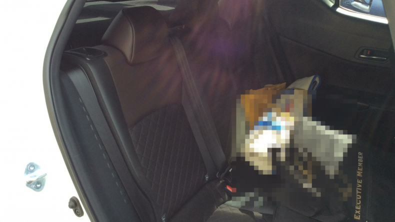 内装後方シート