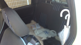 内装後方シート