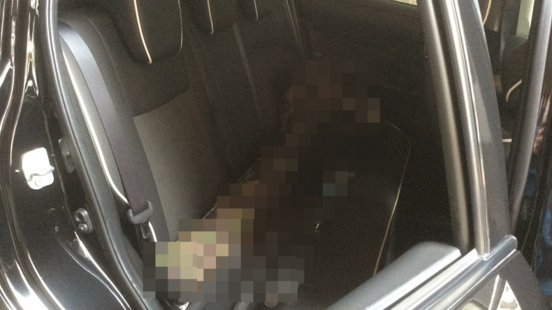 内装後方シート