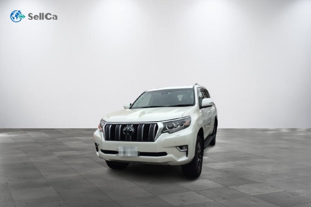 トヨタ/ランドクルーザープラド-110627