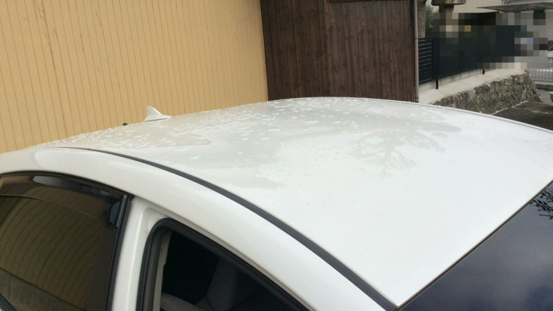 正面ルーフ