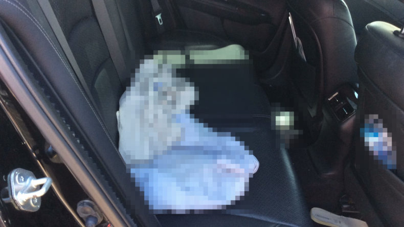 内装後方シート