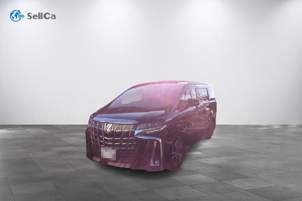 トヨタ/アルファード-113123