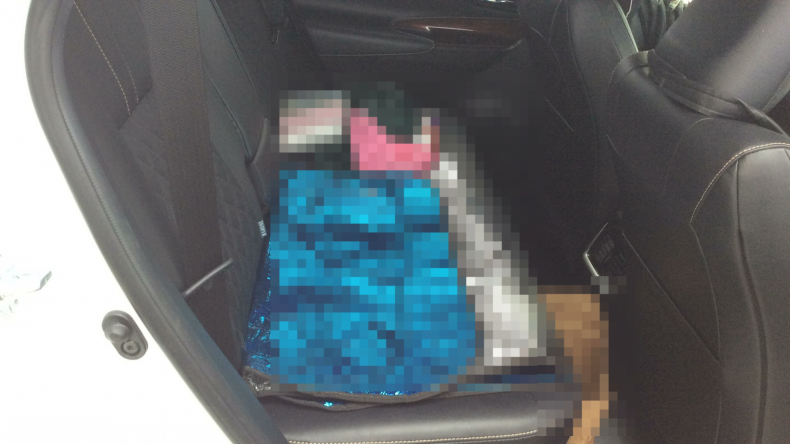 内装後方シート