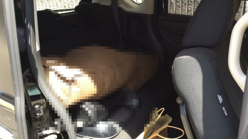 内装後方シート