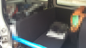 内装後方シート