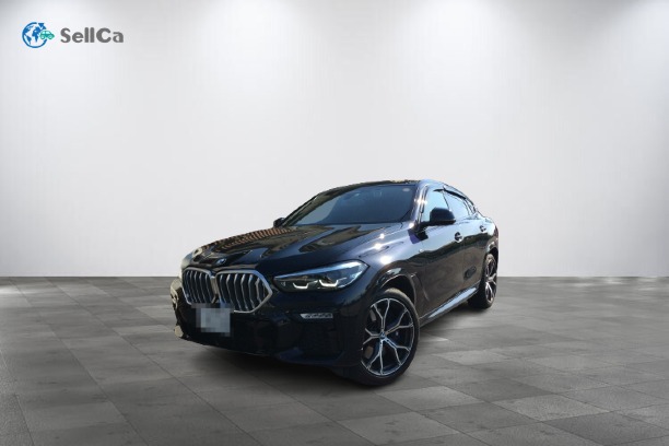 ＢＭＷ Ｘ６の売買実績画像