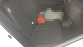 内装後方シート