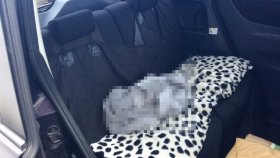 内装後方シート