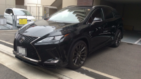 レクサス/ＲＸ-124230