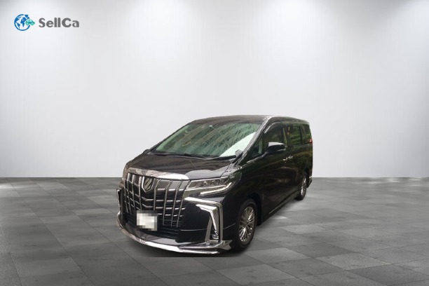 トヨタ/アルファード-124463