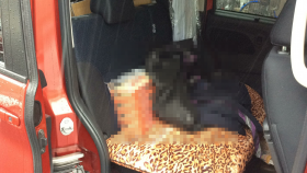 内装後方シート