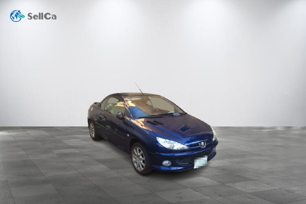 プジョー 206の売買実績画像