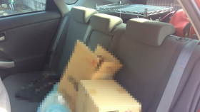 内装後方シート