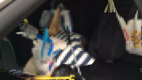 内装後方シート