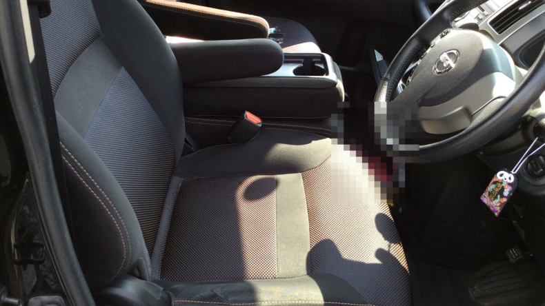 内装前方シート