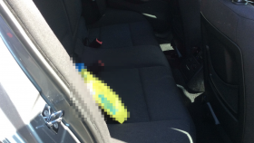 内装後方シート