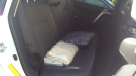 内装後方シート