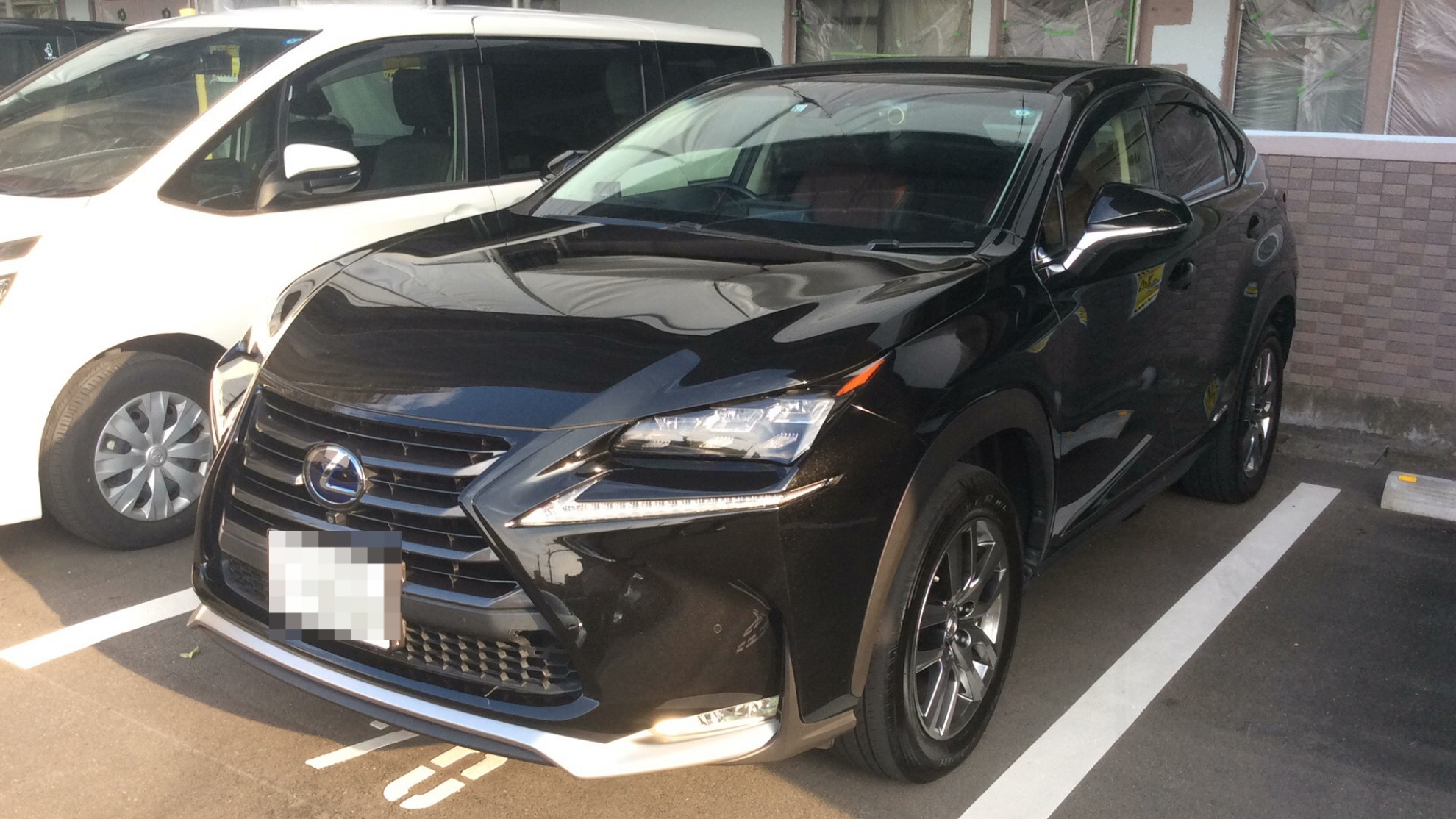 2022年7月成約のＮＸ ＮＸ３００ｈ バージョンＬのメイン画像