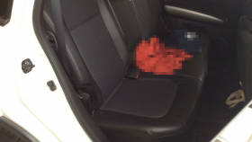 内装後方シート