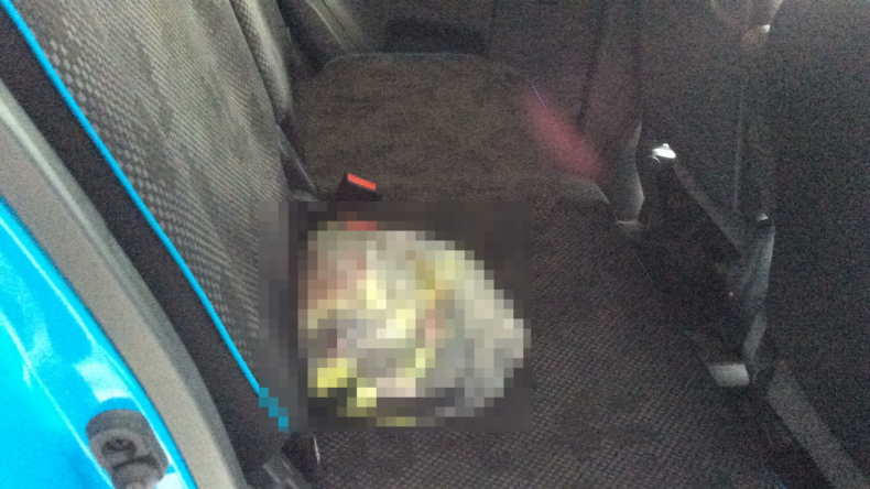 内装後方シート