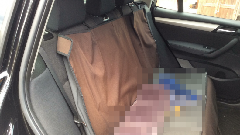 内装後方シート