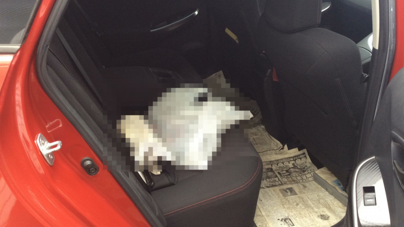 内装後方シート