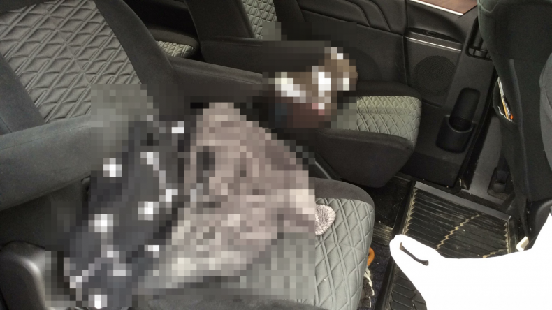 内装後方シート