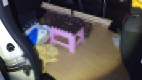 内装後方シート