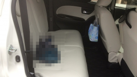 内装後方シート