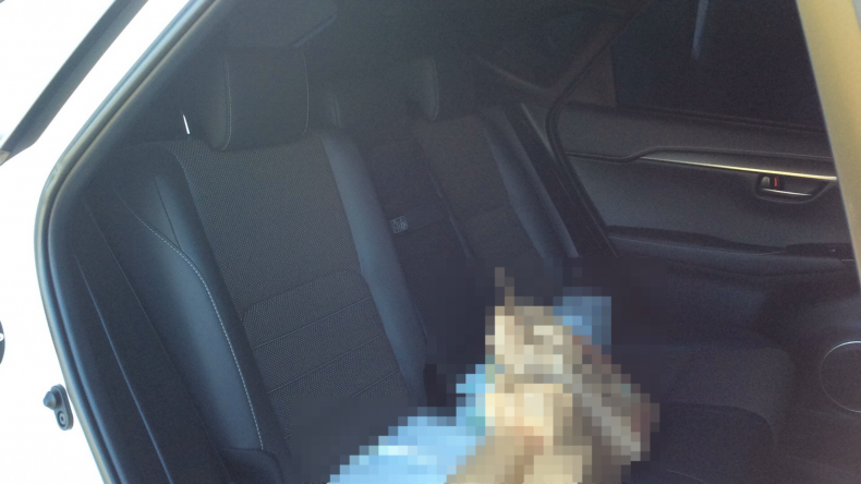 内装後方シート