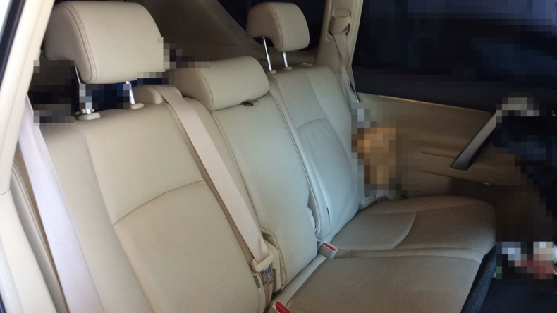 内装後方シート