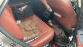 内装後方シート