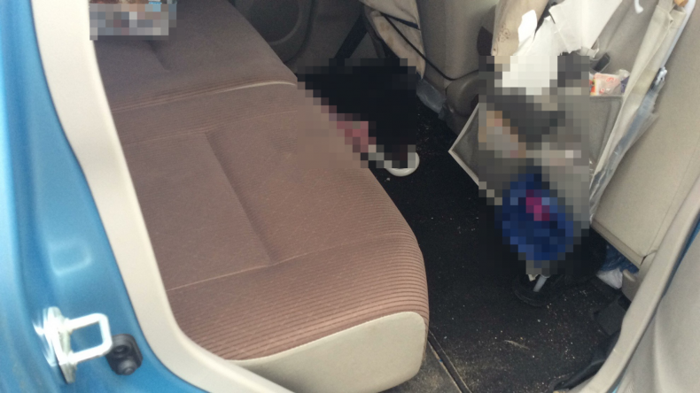 内装後方シート