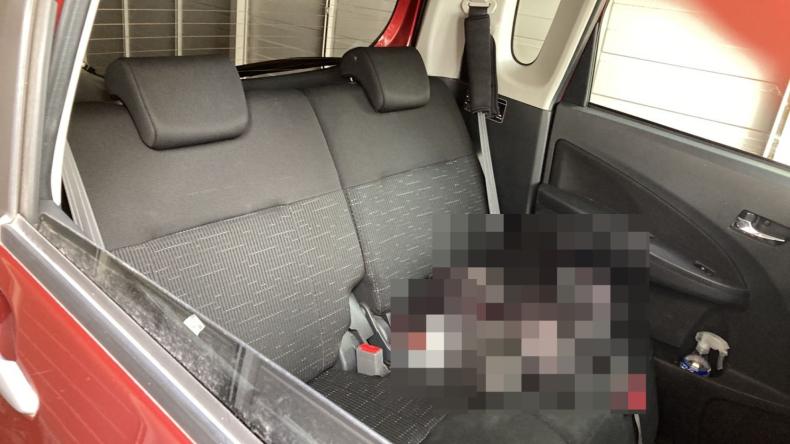 内装後方シート