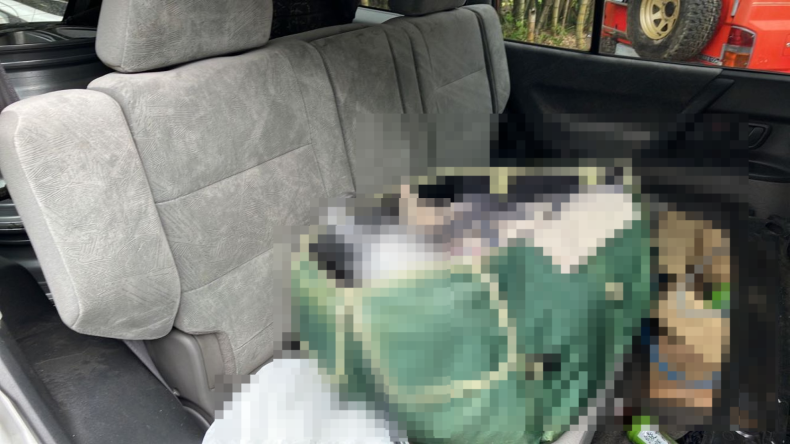 内装後方シート