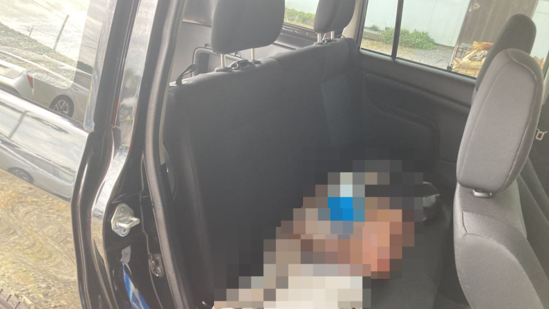 内装後方シート