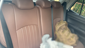 内装後方シート