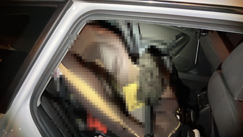 内装後方シート