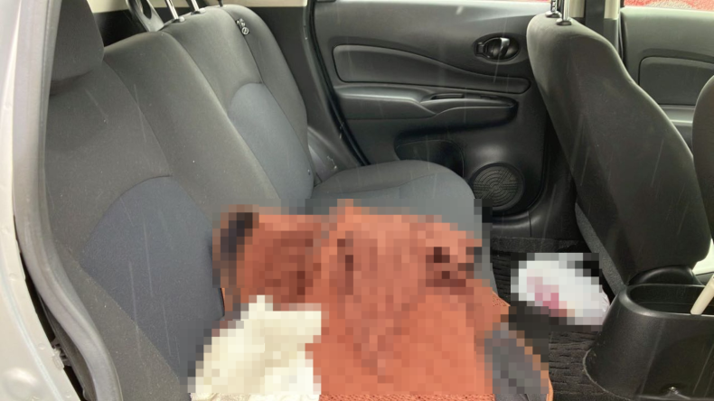 内装後方シート