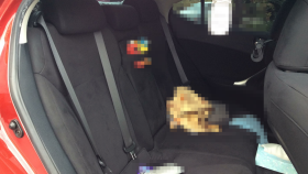 内装後方シート