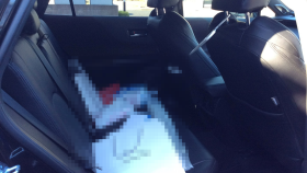 内装後方シート