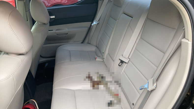 内装後方シート