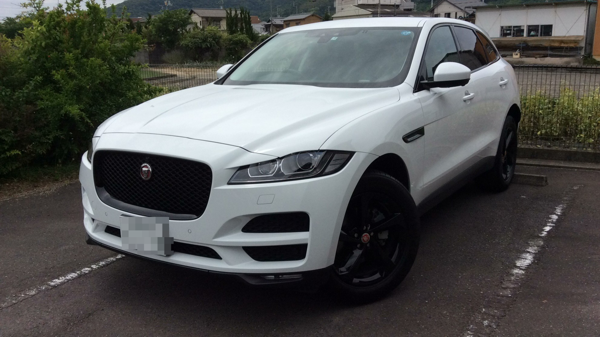 2022年11月成約のＦペイス のメイン画像