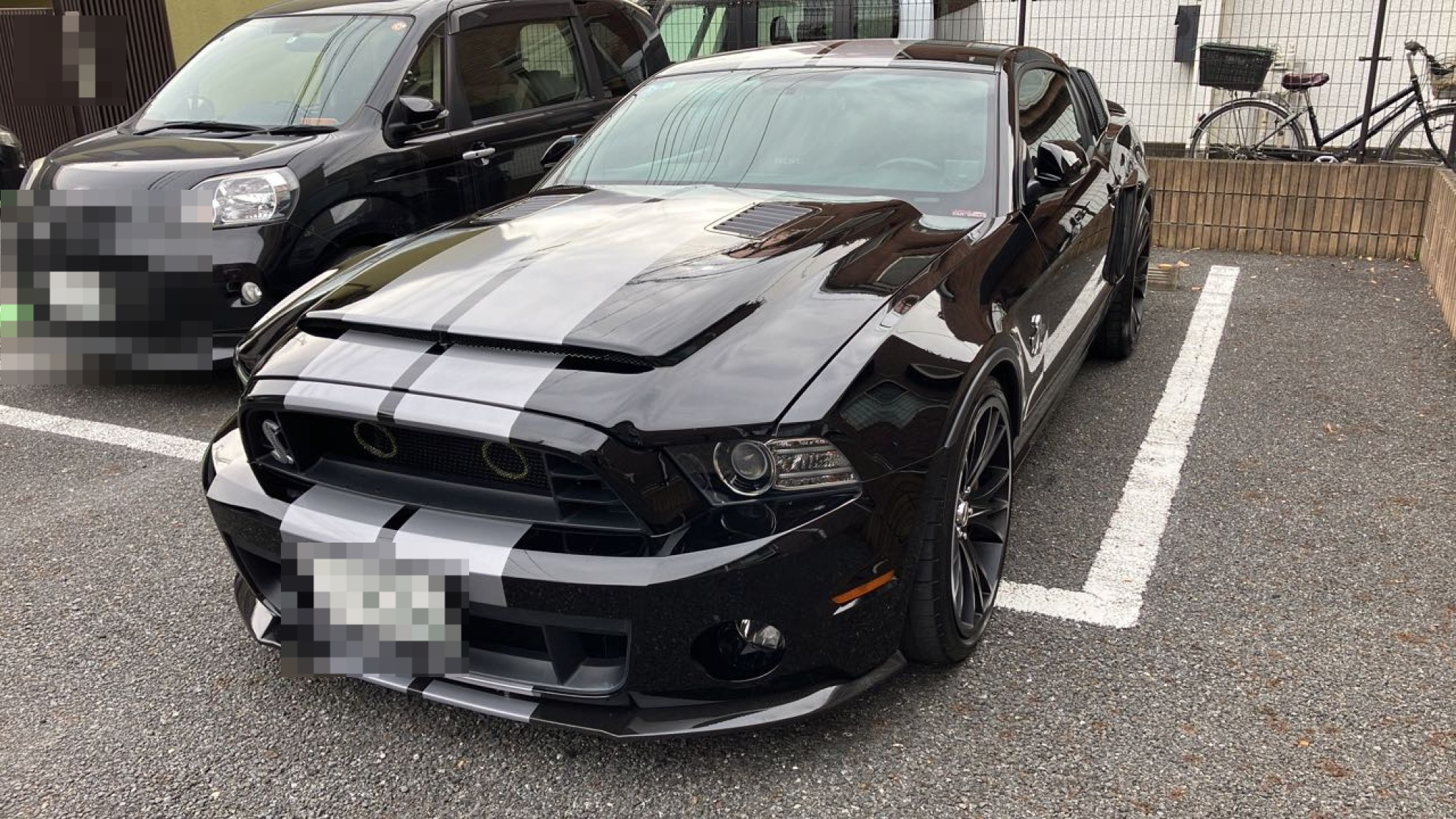 2022年11月成約のマスタング のメイン画像