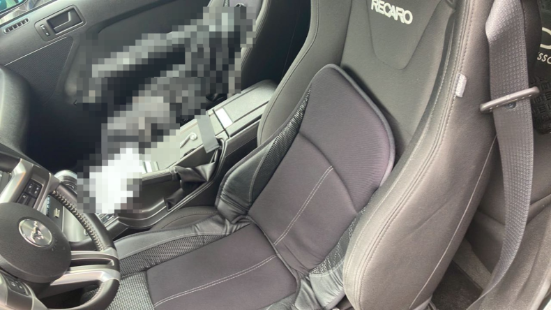 内装前方シート