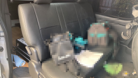 内装後方シート