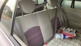 内装後方シート