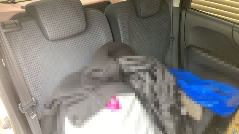 内装後方シート